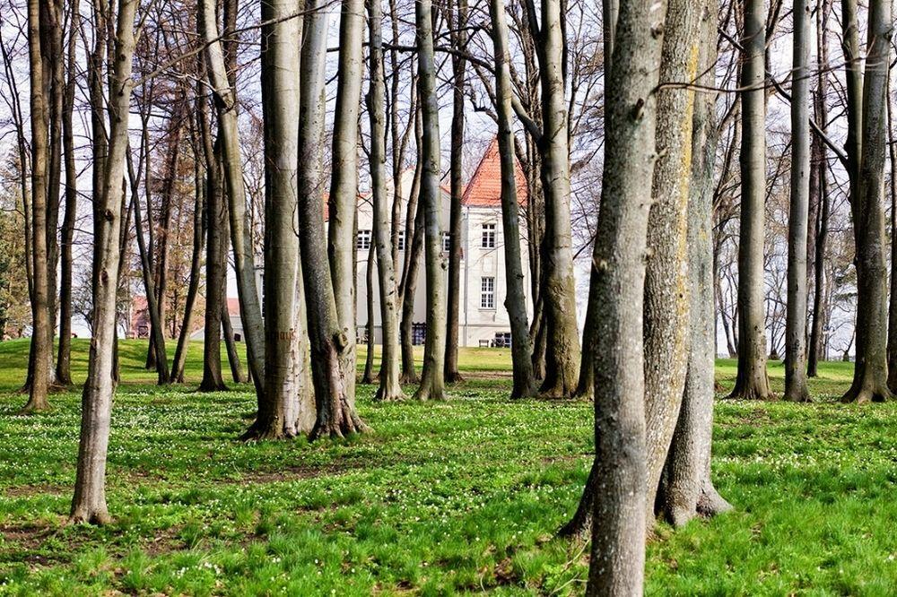 Zespol Palacowy Pacoltowo Na Wylacznosc Luaran gambar